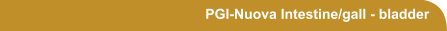 PGI-Nuova Intestine/gall - bladder